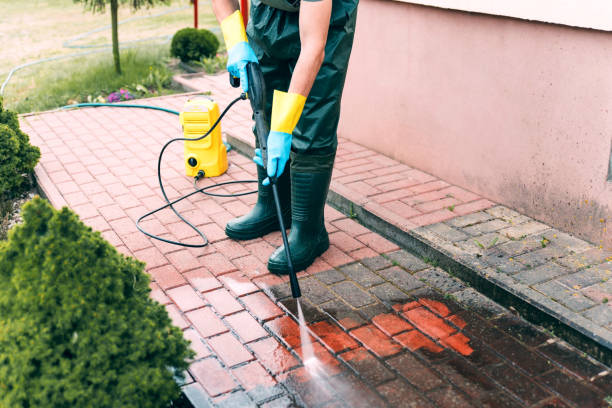 Animal Enclosure Cleaning in Giddings, TX